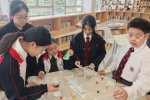 img_20260210_133735 - lly teacher